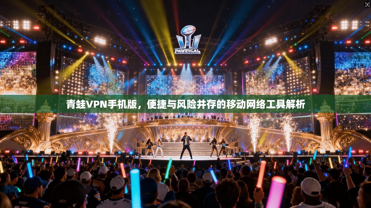 青蛙VPN手机版，便捷与风险并存的移动网络工具解析
