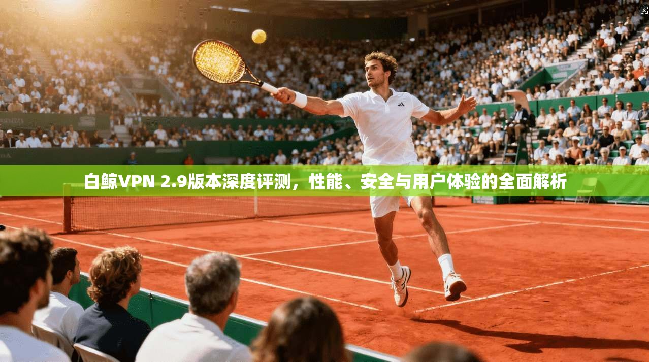 白鲸VPN 2.9版本深度评测，性能、安全与用户体验的全面解析