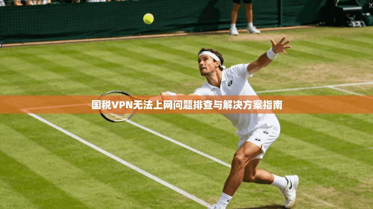 国税VPN无法上网问题排查与解决方案指南 国税VPN无法上网问题排查与解决方案指南