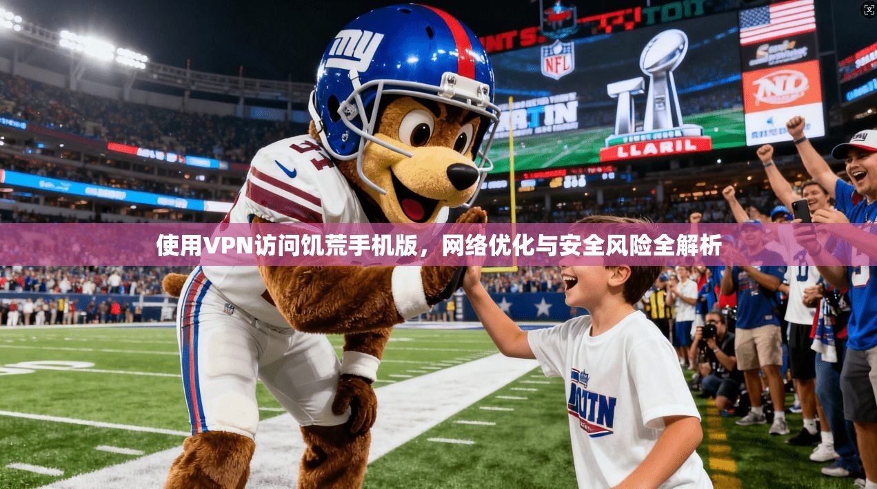 使用VPN访问饥荒手机版，网络优化与安全风险全解析